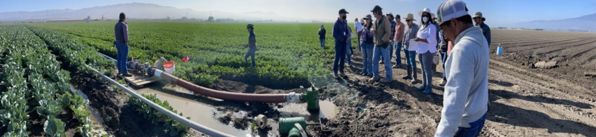 NII workshop training in field